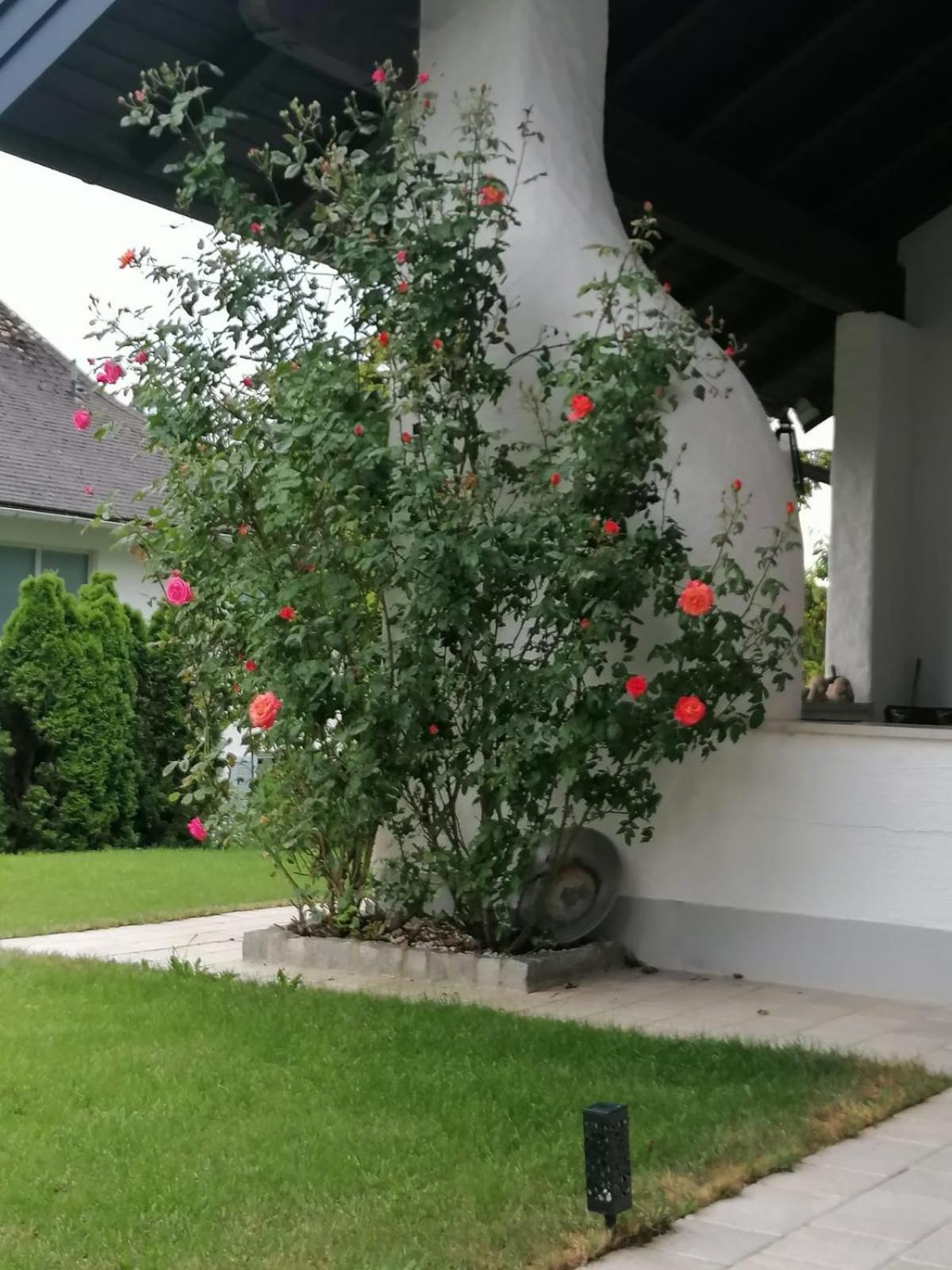 Guggenthal Appartment Nocksteinblick מראה חיצוני תמונה